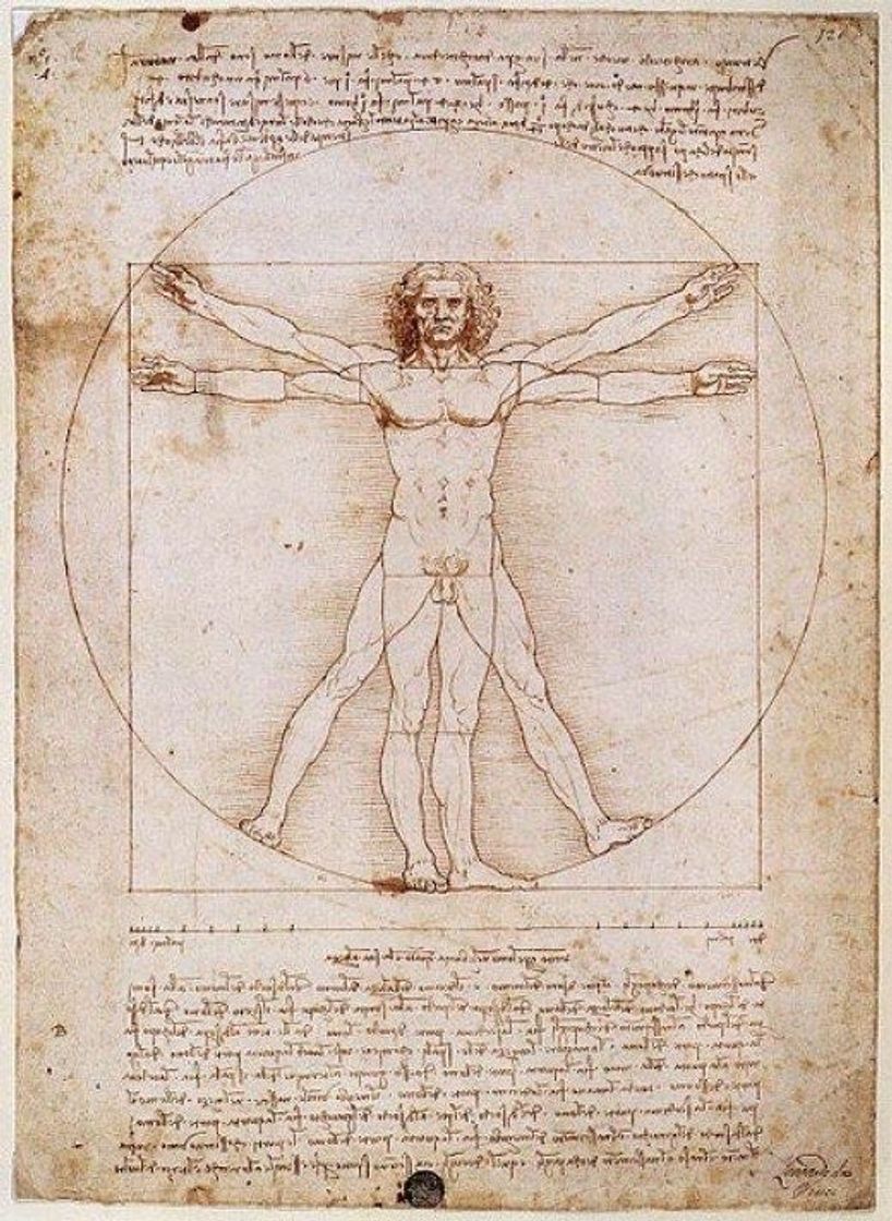 Moda Homem Vitruviano, Leonardo Da Vinci. 