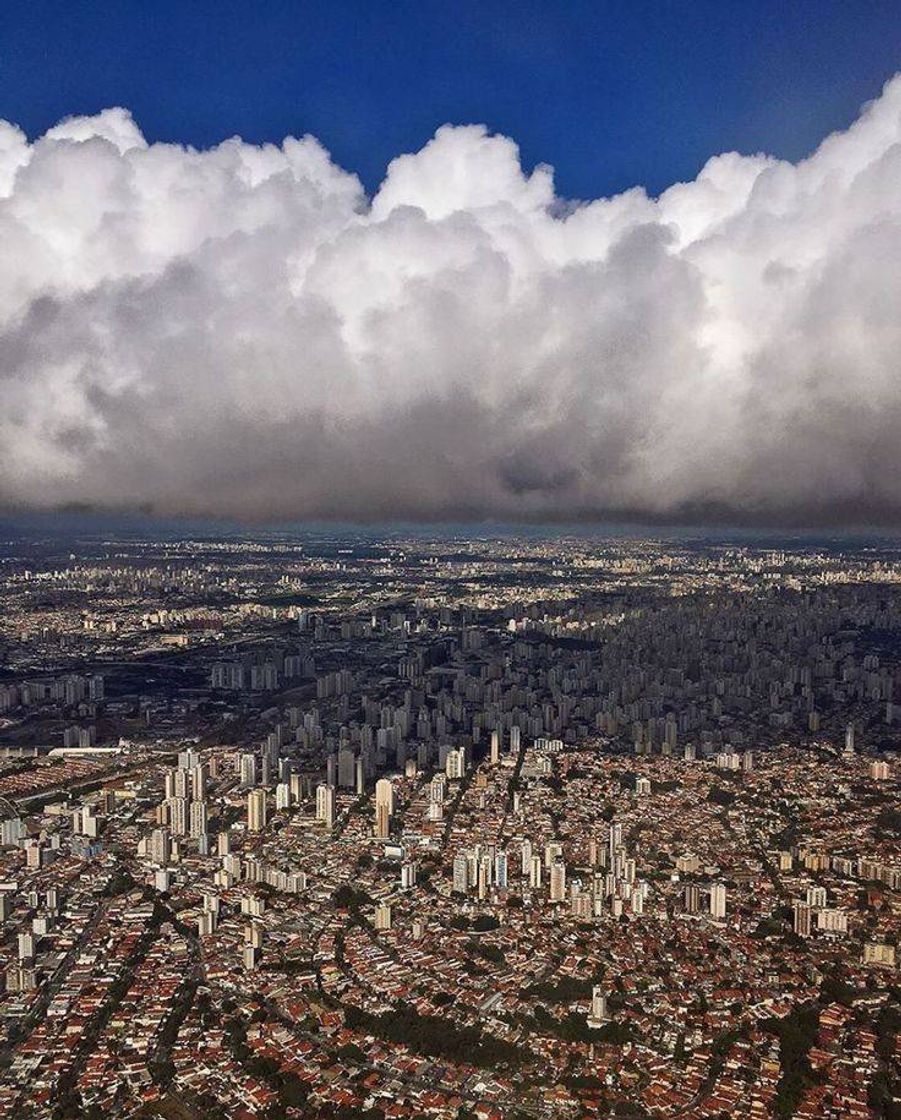 Fashion São Paulo ✨