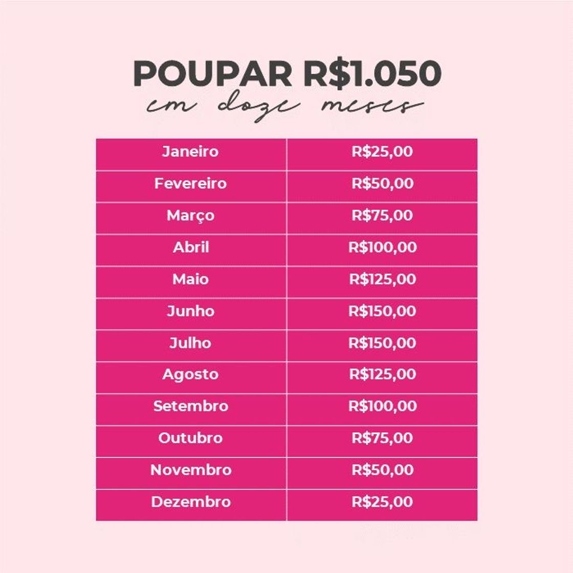 Moda 1500 em 12 meses