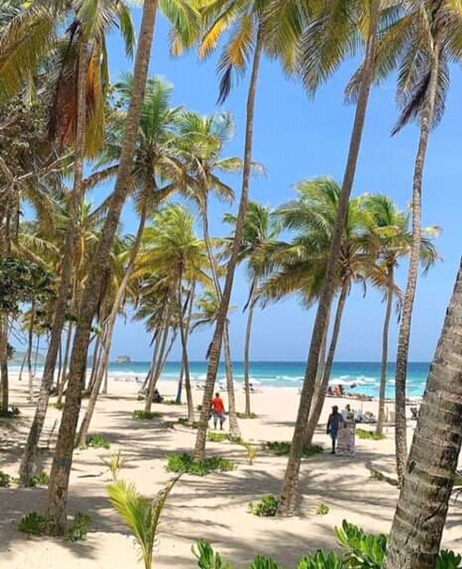 Social Playa el agua