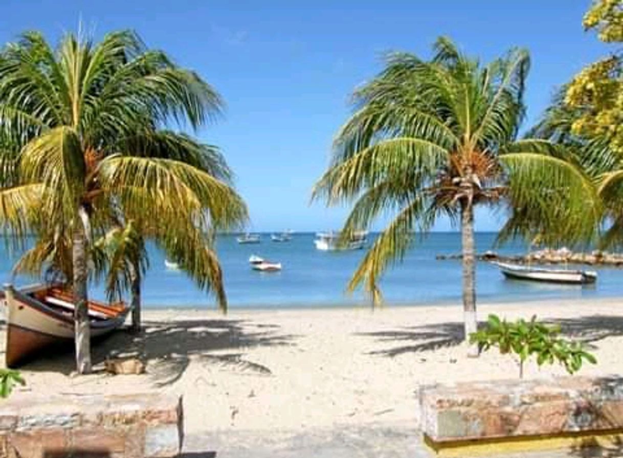 Social Playa zaragoza