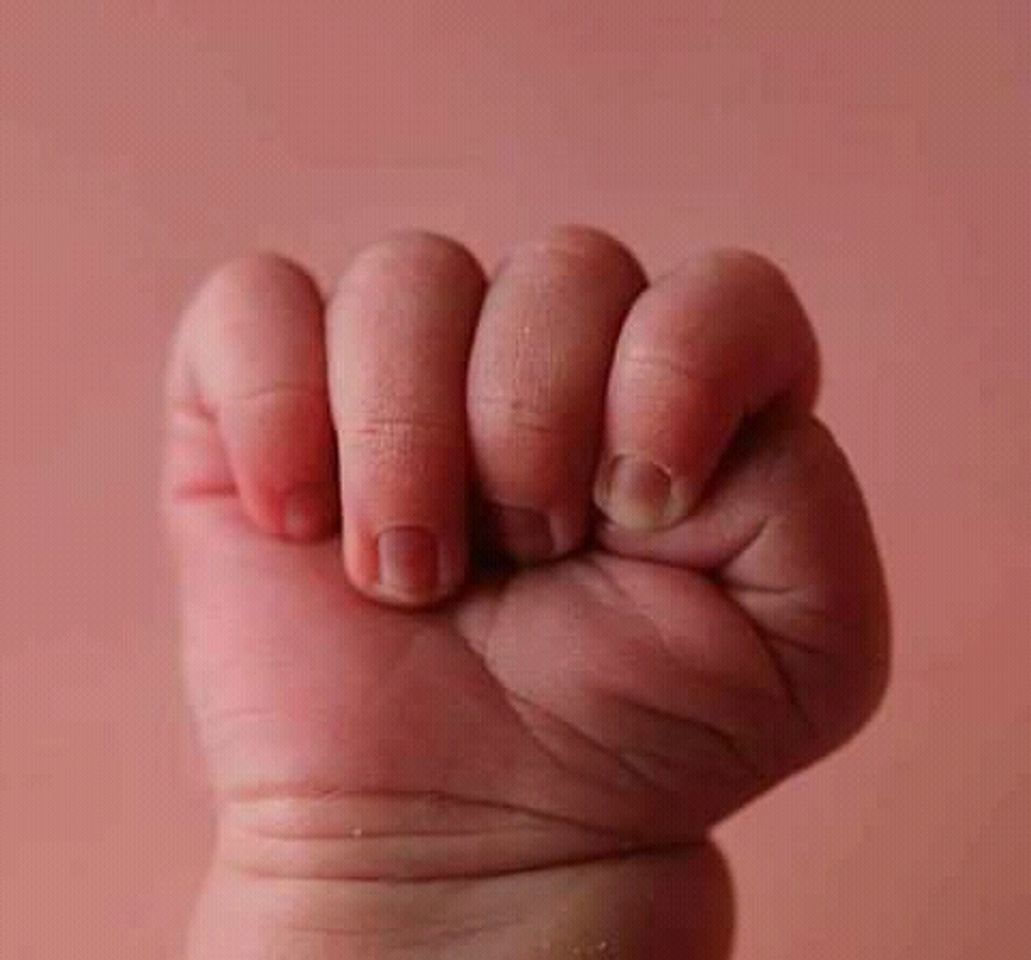 Social La creación perfecta