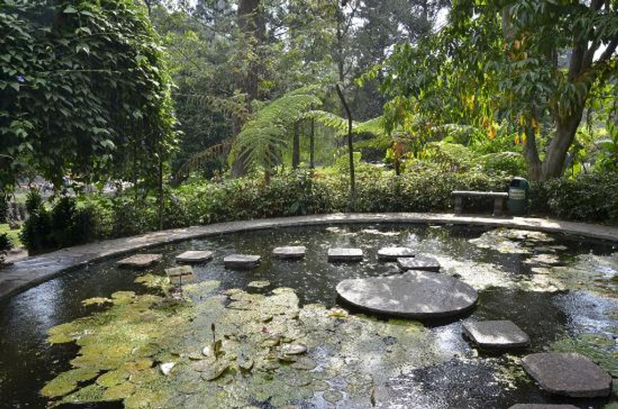 Lugar Jardín Botánico, Plan de La Laguna