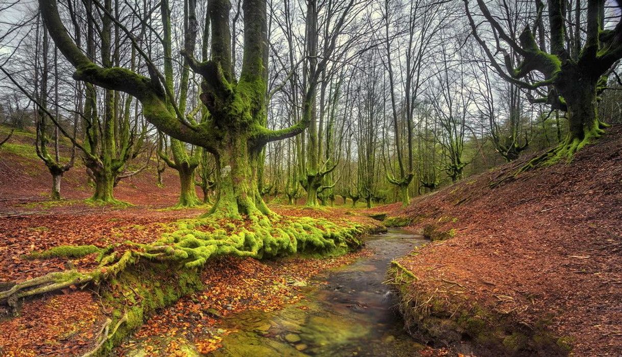 Place Gorbea