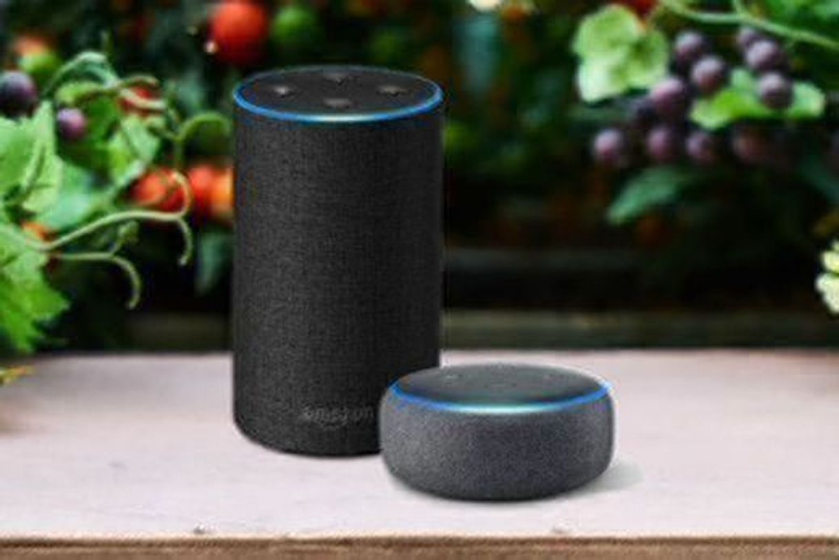 Social Alexa 