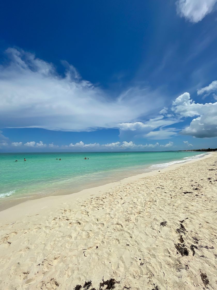 Lugar Cayo Santa Maria