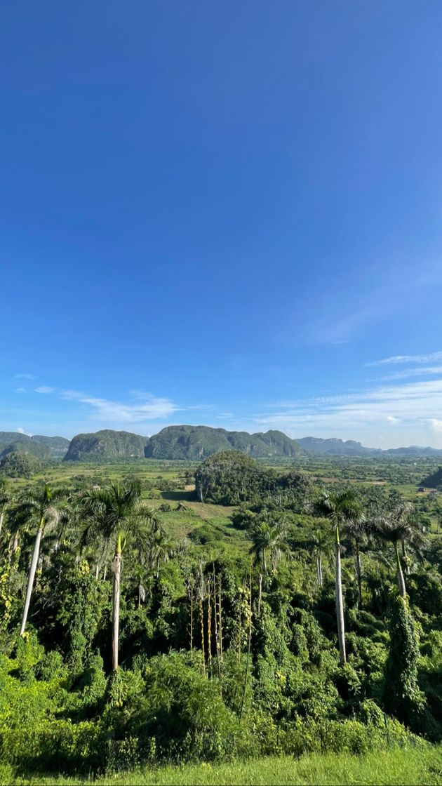 Place Viñales