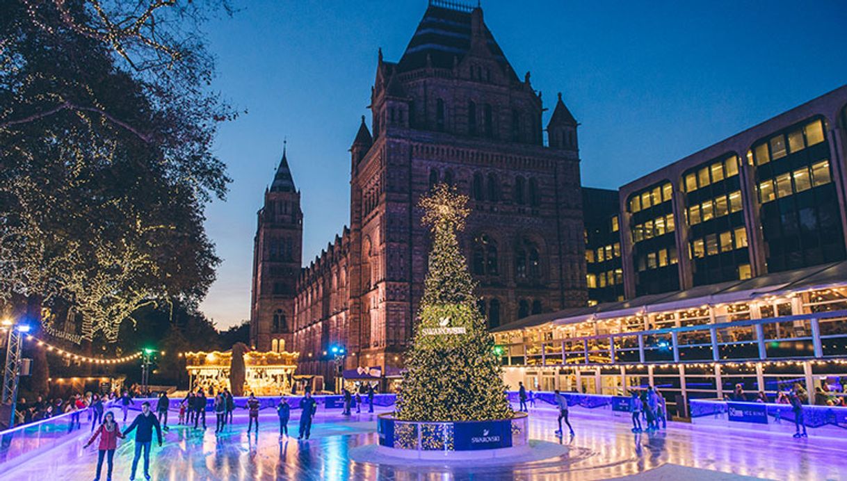 Lugar Natural History Museum Ice Rink