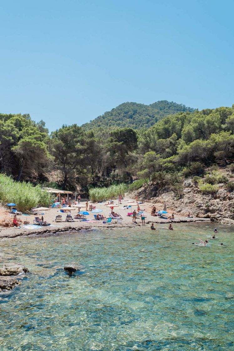 Place Cala Xuclar