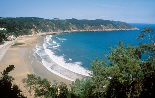 Playa Concha de Artedo