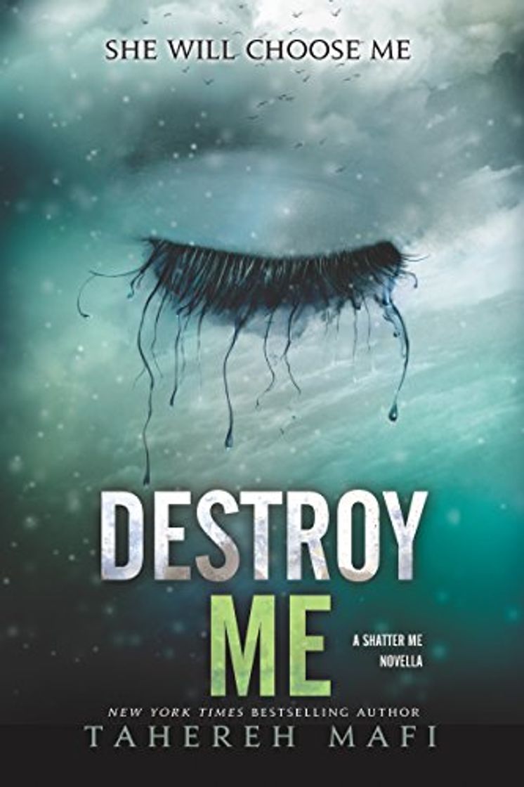 Libro Destroy Me