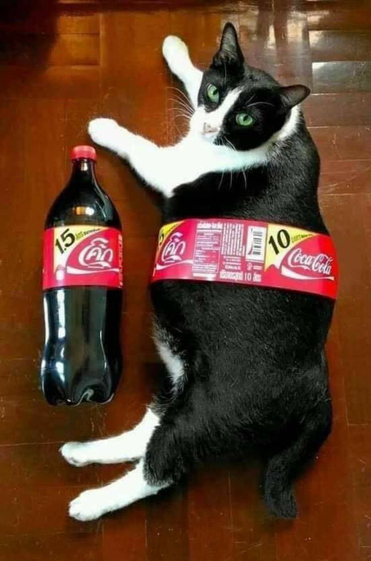 Moda ESSE SIM É UM EXEMPLO DE UM FÃ DA COCA COLA. KKKK 🤣👈