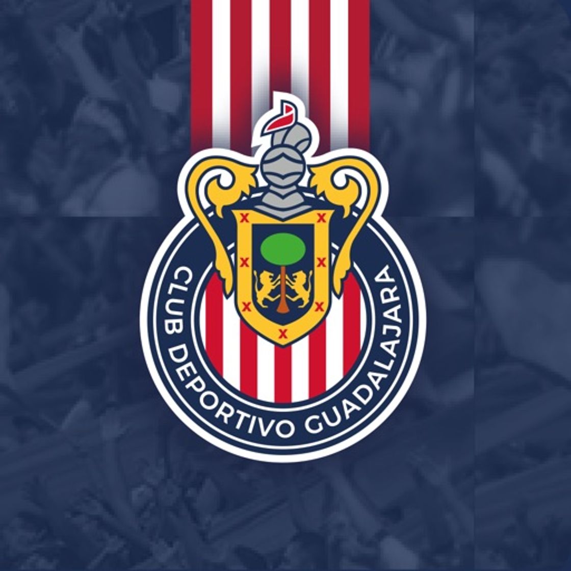 Apps Chivas Oficial