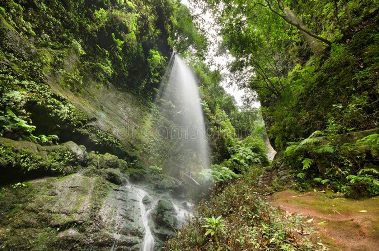 Lugar Los Tilos