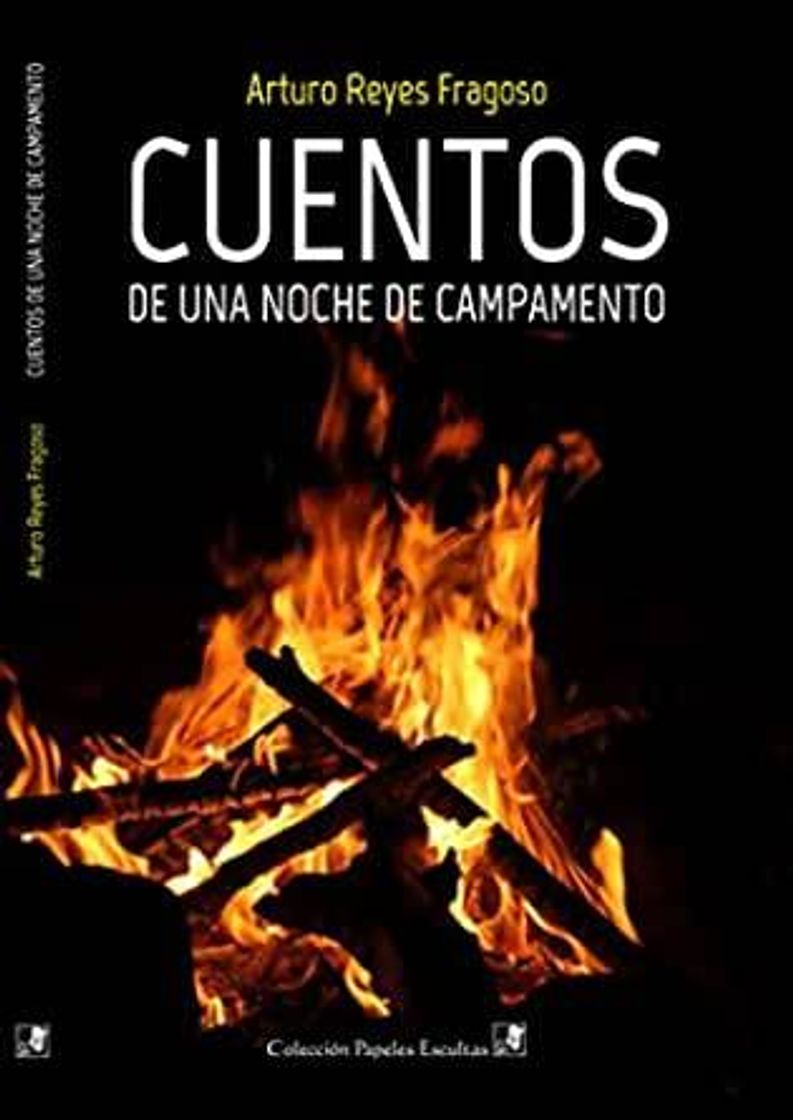 Libros Cuentos de una noche de campamento | Arturo Reyes Fragoso