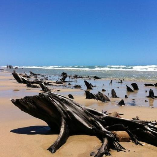 Praia do Balbino