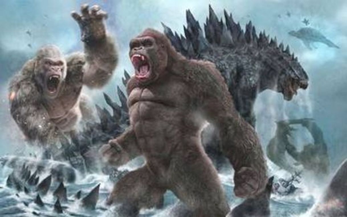 Moda Filme King Kong vs Godzilla