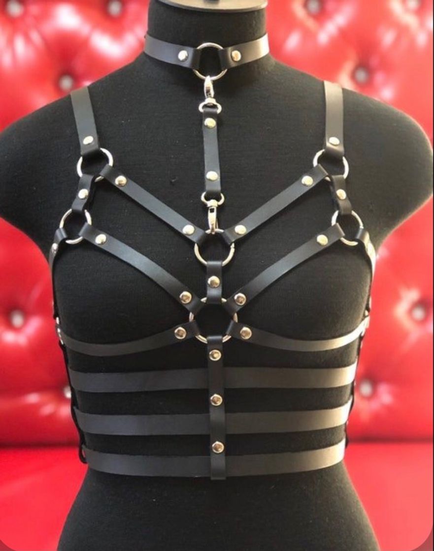 Fashion harness