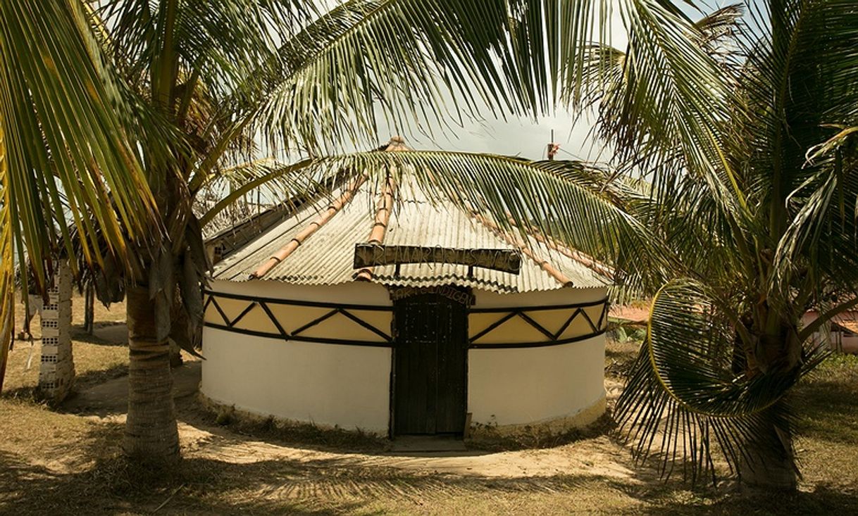 Moda Terras potiguaras🌴