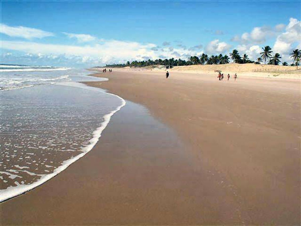 Lugar Sítio do Conde Beach