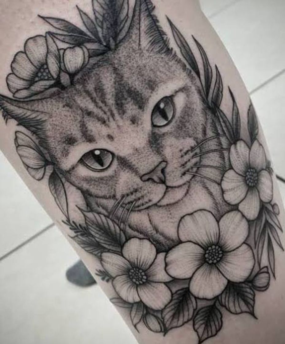 Moda Tatuuuu de um gato 🐱