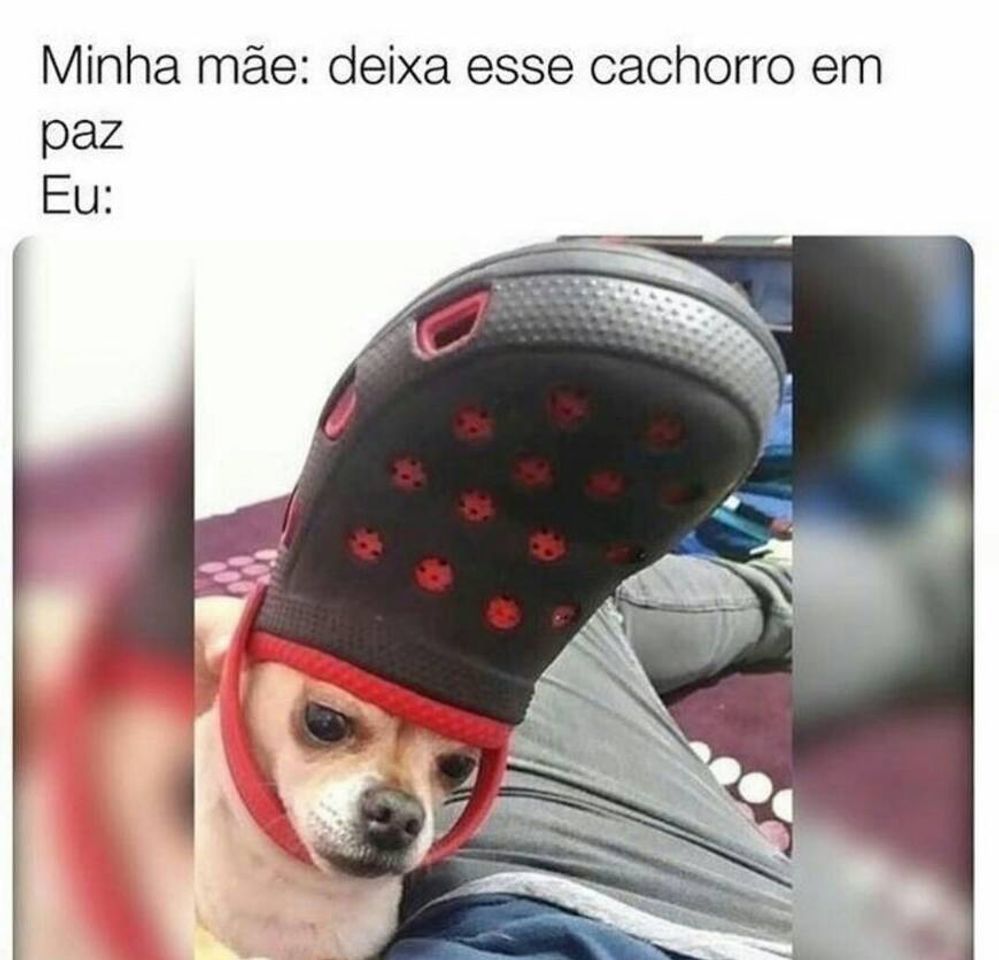 Social Memebr