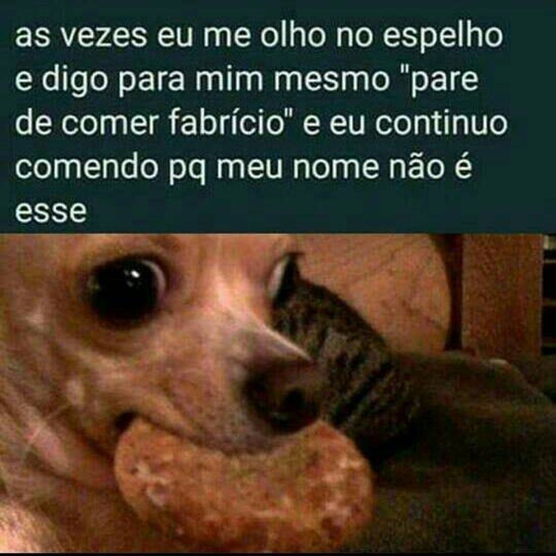 Social Memebr