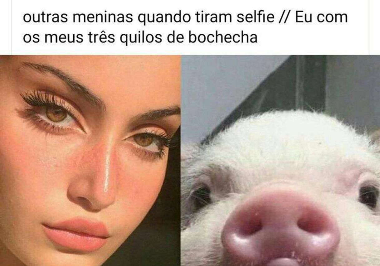 Social Memebr