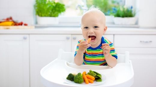  Introdução Alimentar- Bebê feliz
