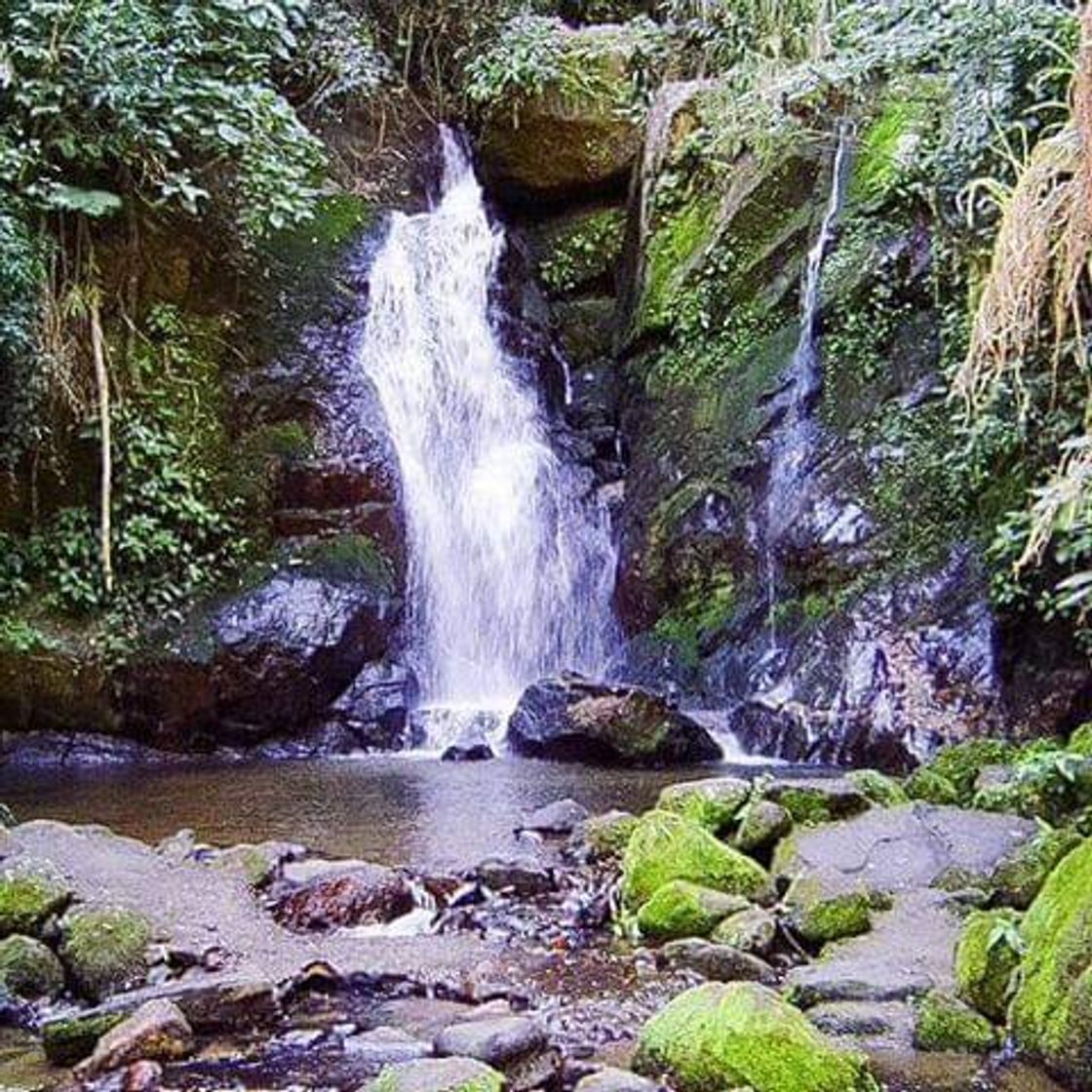 Place Cachoeiras de Macacu