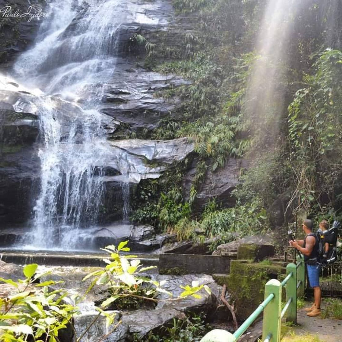 Place Tijuca National Park