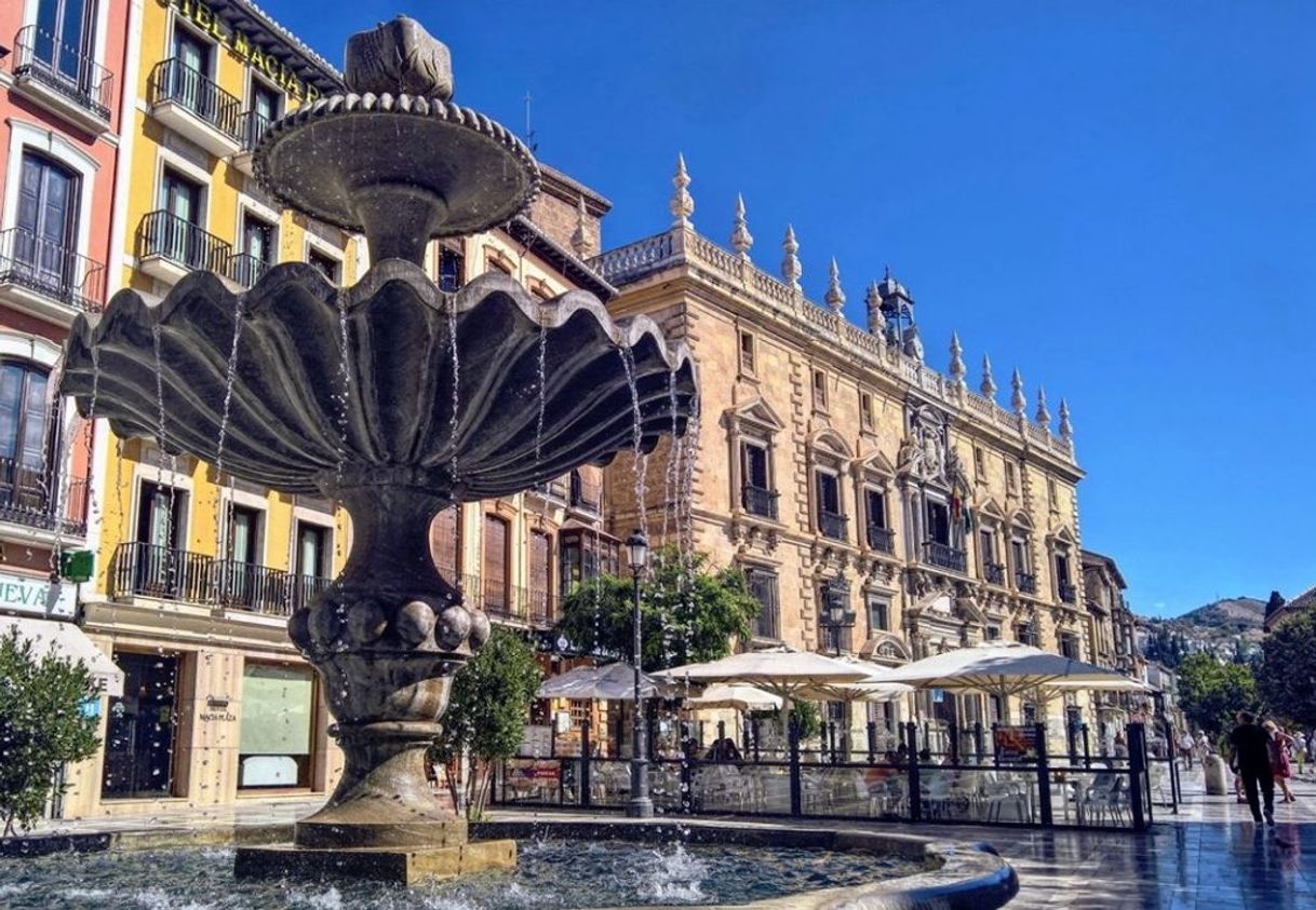 Place Plaza Nueva