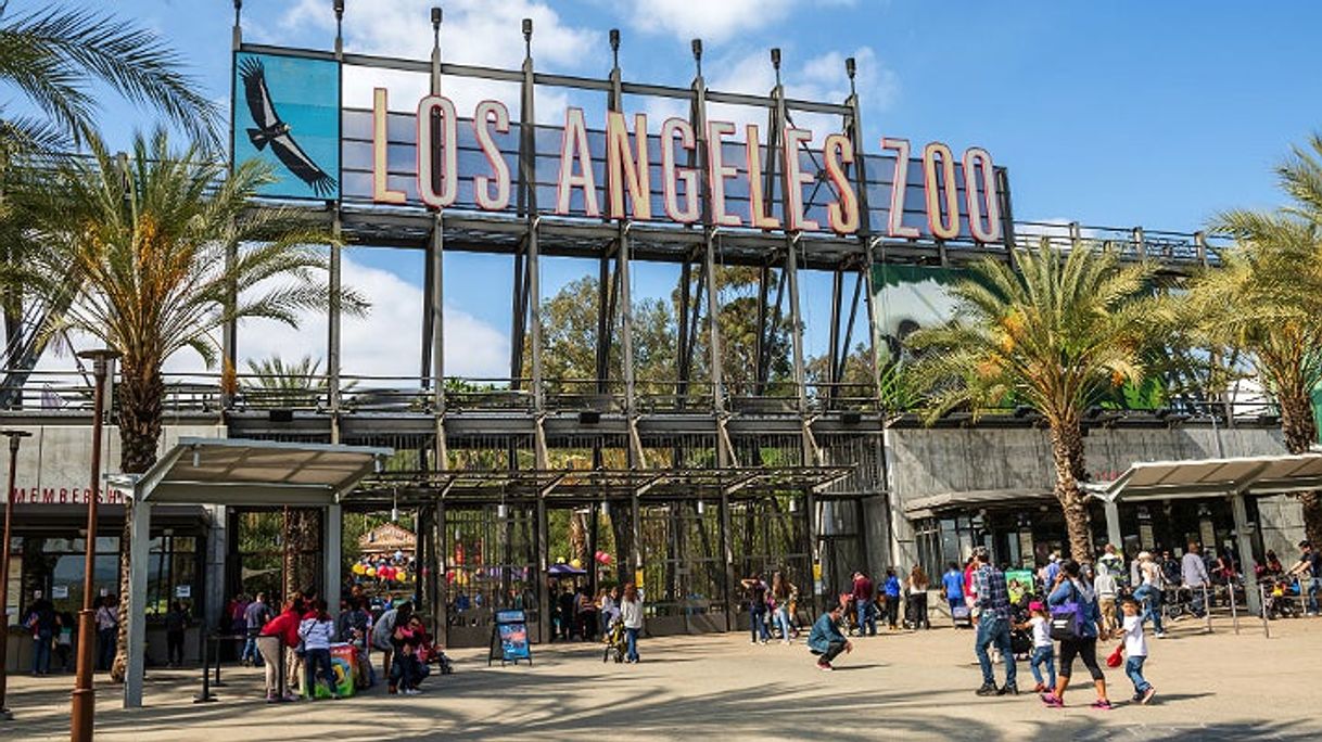 Lugar Zoológico de Los Ángeles