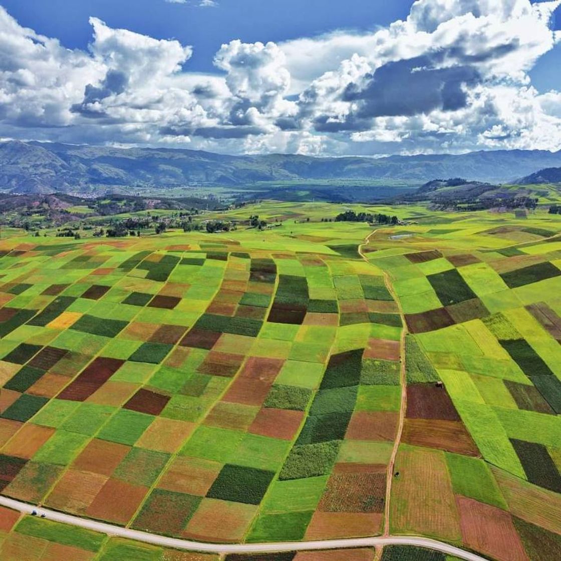 Lugar Perú