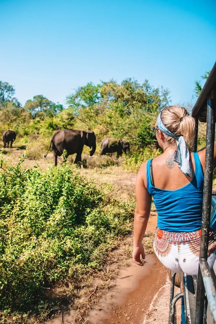 Lugar Udawalawe Elephants park, Srilanka