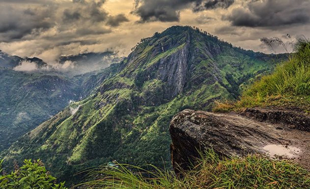 Lugar Ella Rock View Point