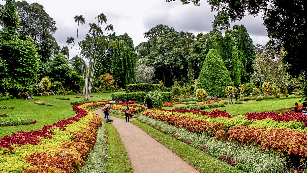 Lugar Royal Botanic Gardens