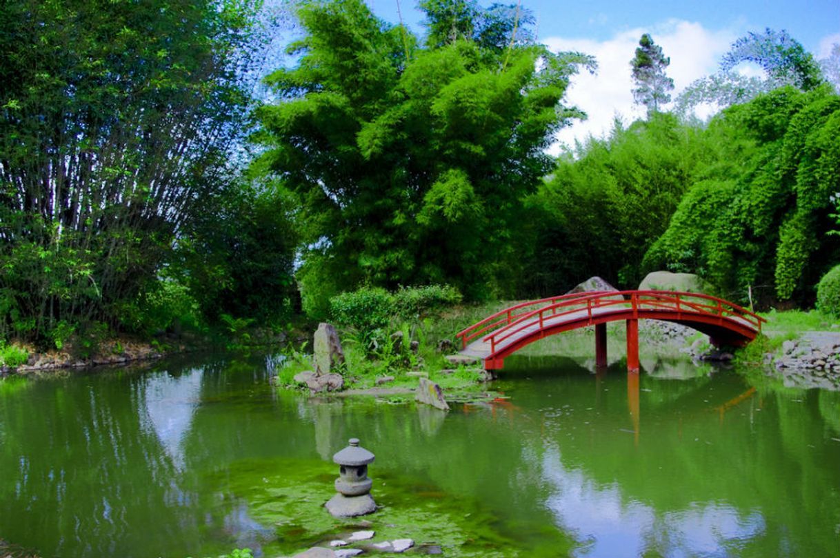 Lugar Jardín Botánico Lankester