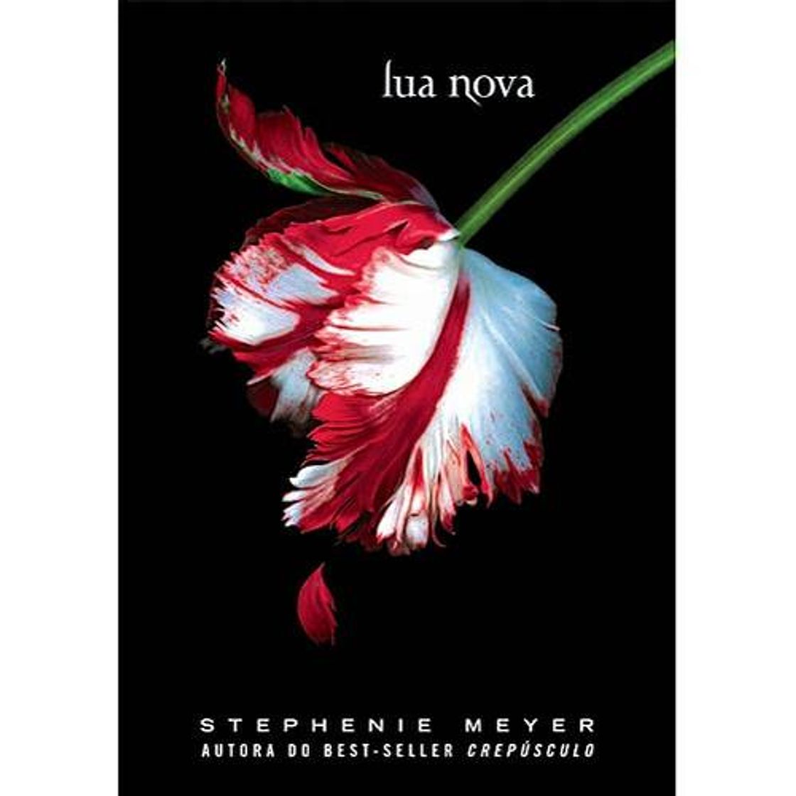 Book Luna nueva