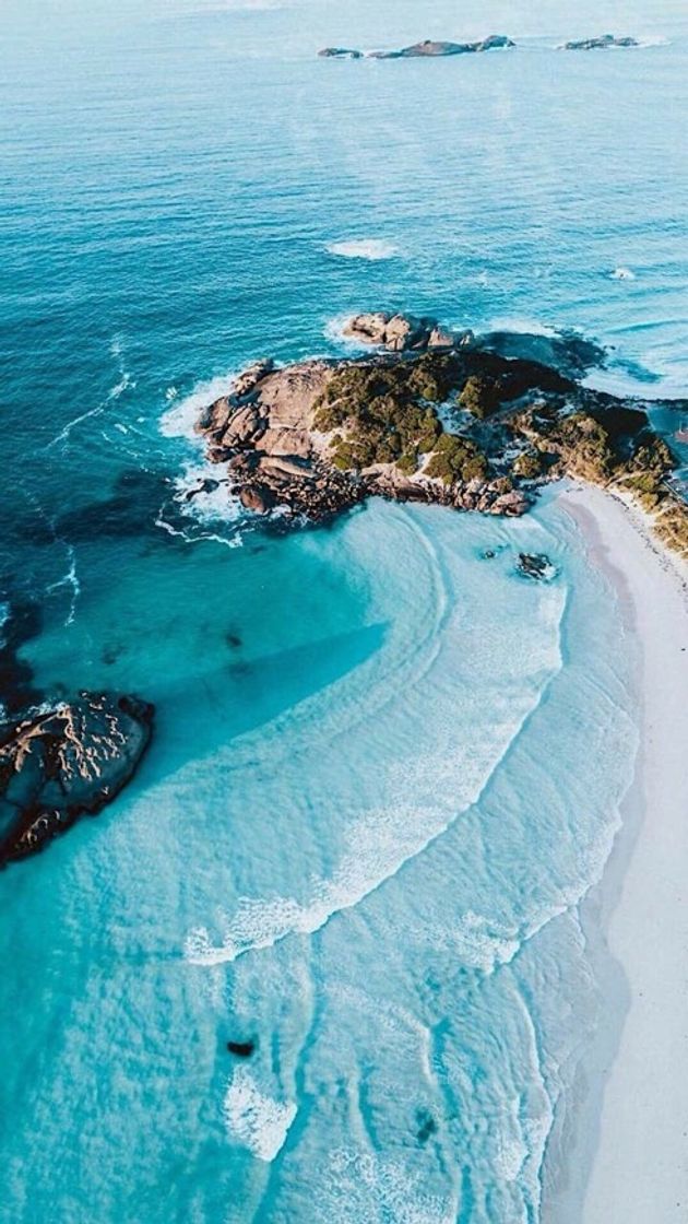 Social Wallpaper 🌊 