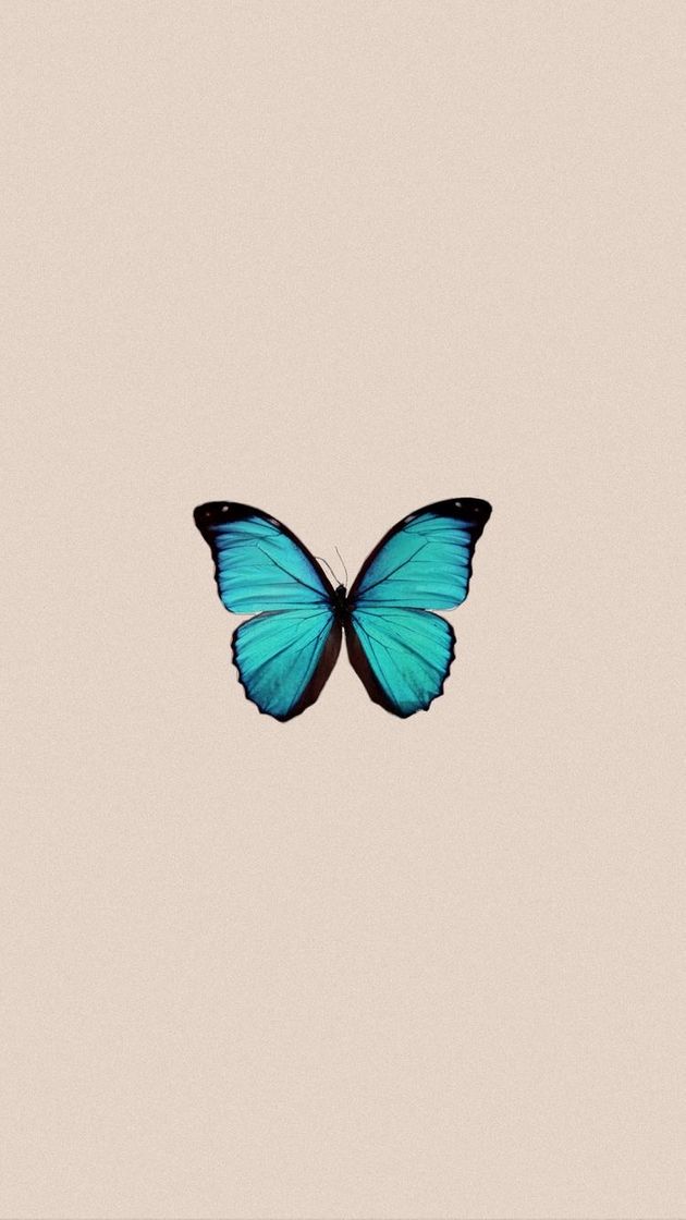 Social 🦋