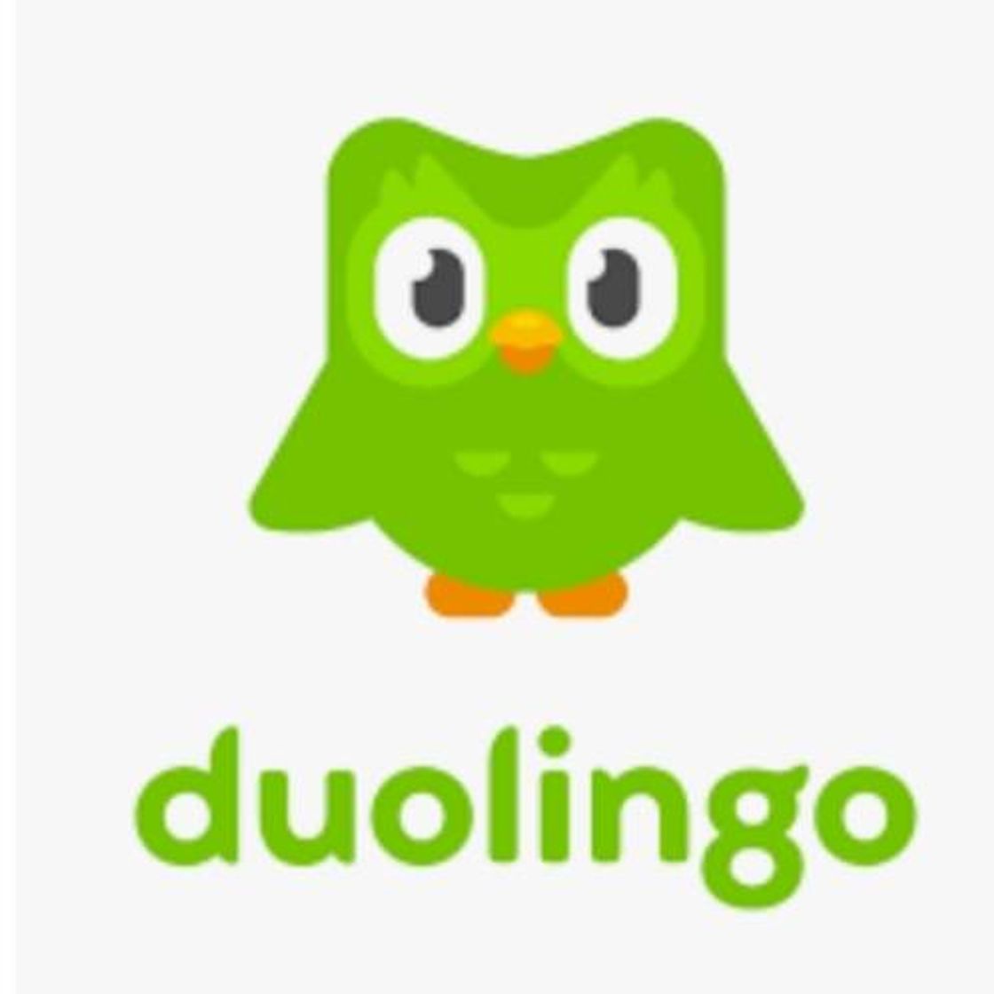 Fashion Duolingo