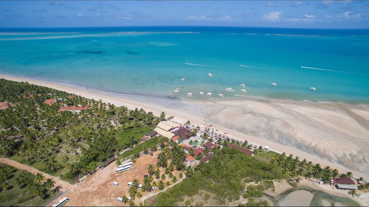 Restaurantes Pontal do Maragogi