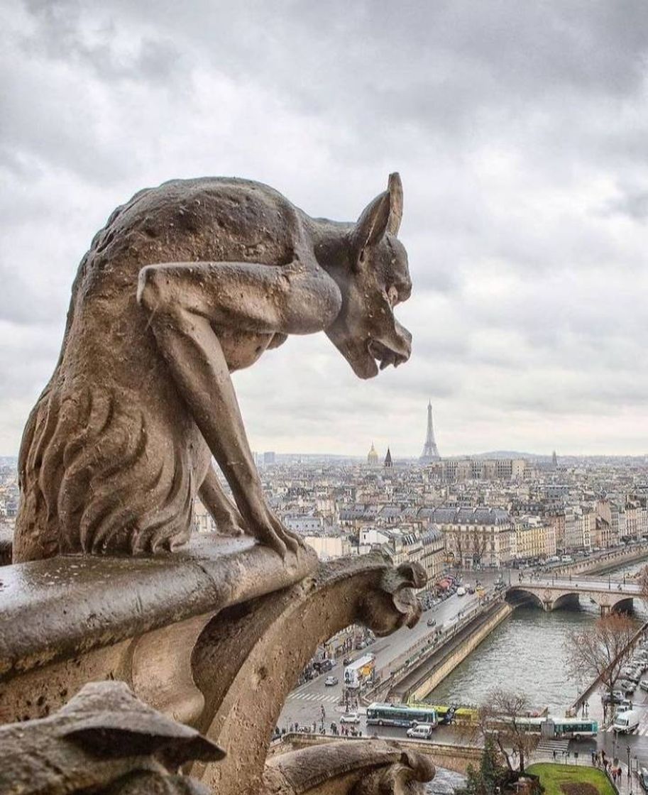 Place Notre-Dame de Nice