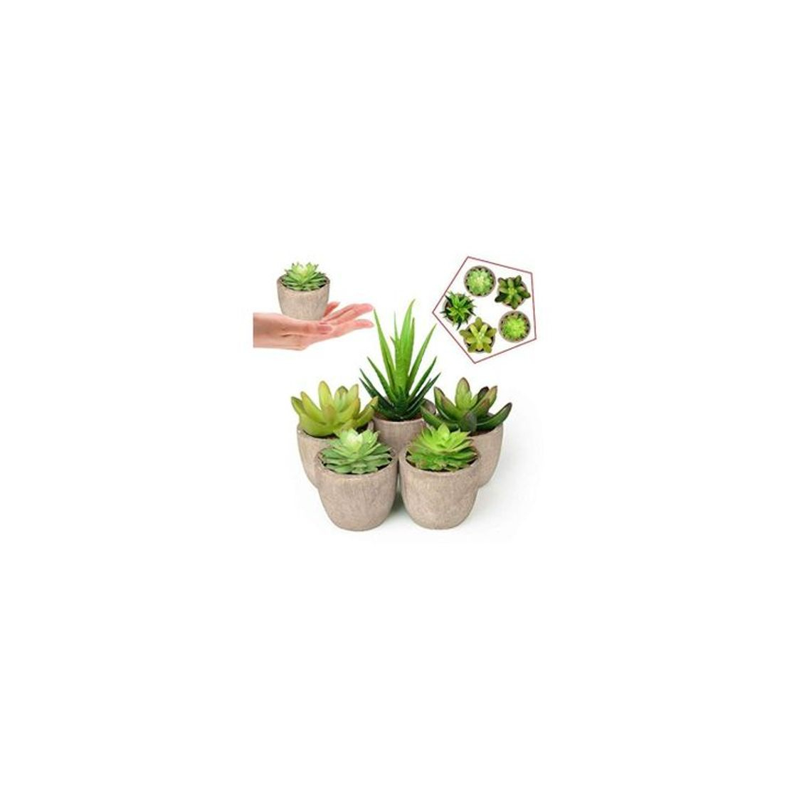 Social Plantas Suculentas Artificiales 5PCS Jardinera Suculenta Falso Plantas de Cactus Faux en