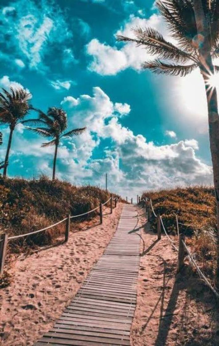 Fashion Wallpaper de praia✨🌴