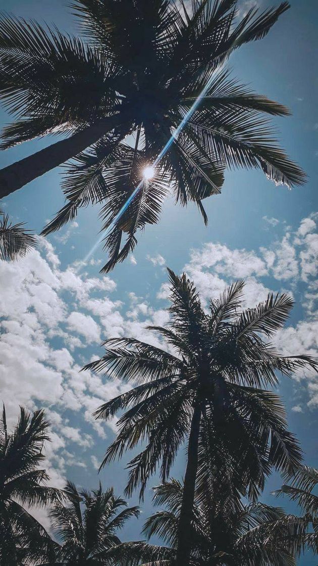 Moda Wallpaper praia🌴