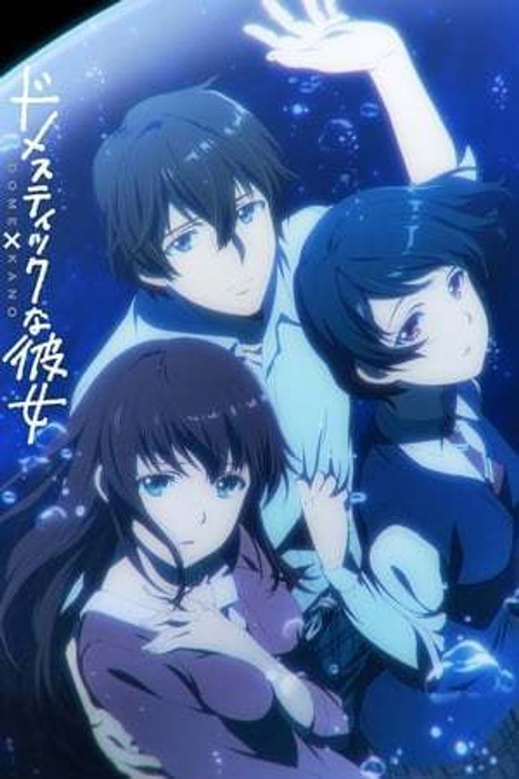 Series Domestic na Kanojo Especiales