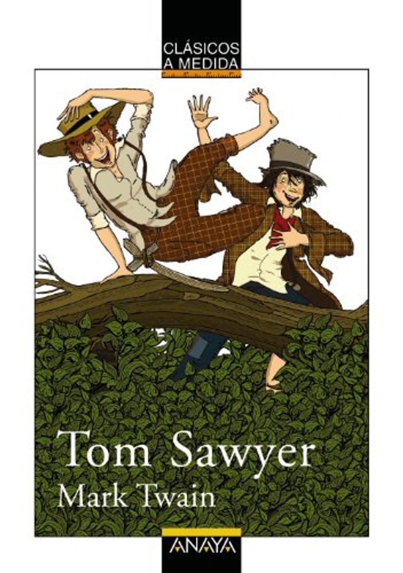 Libro Tom Sawyer