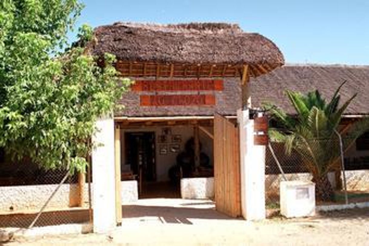 Restaurants Restaurante la Choza de Hinojos